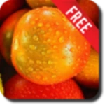 Logo of Fruits And Water Free android Application 