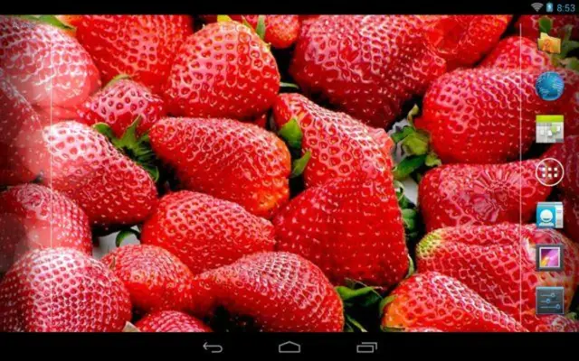 Fruits And Water Free android App screenshot 7