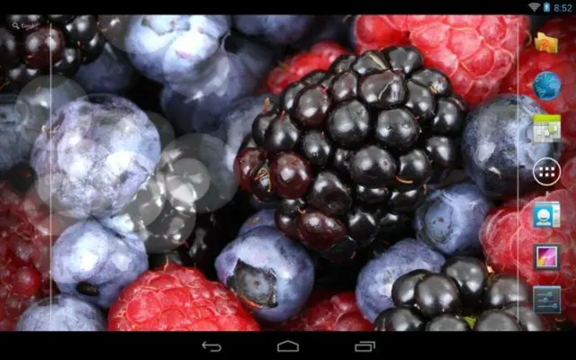 Fruits And Water Free android App screenshot 8